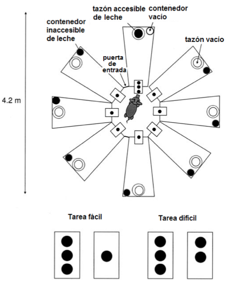 Figura 1